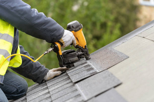 Best Steel Roofing  in Seven Mile, AZ